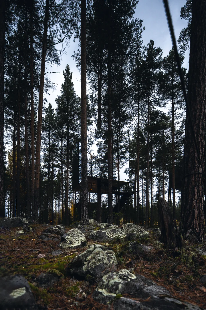 Schweden Reise 2023 Architekturfotografie Baumhaus Resort Treehotel (19)