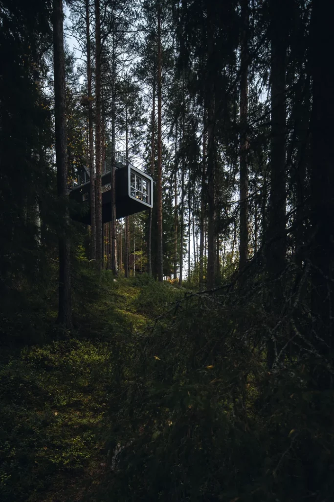 Schweden Reise 2023 Architekturfotografie Baumhaus Resort Treehotel (2)