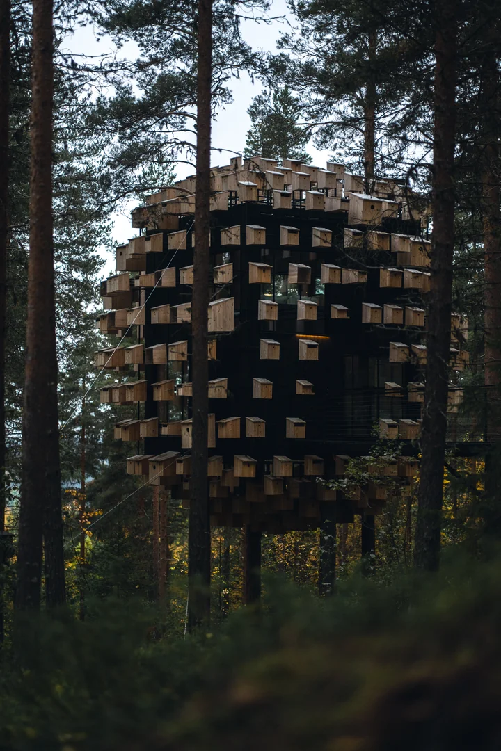 Schweden Reise 2023 Architekturfotografie Baumhaus Resort Treehotel (8)