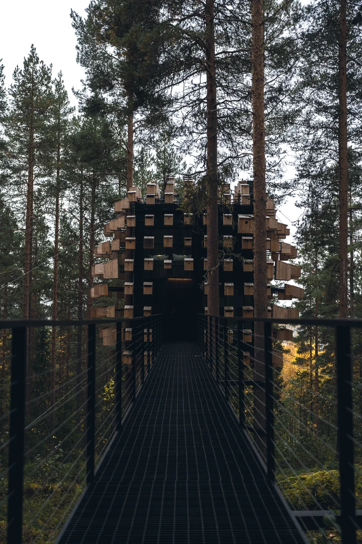 Schweden Reise 2023 Architekturfotografie Baumhaus Resort Treehotel (9)